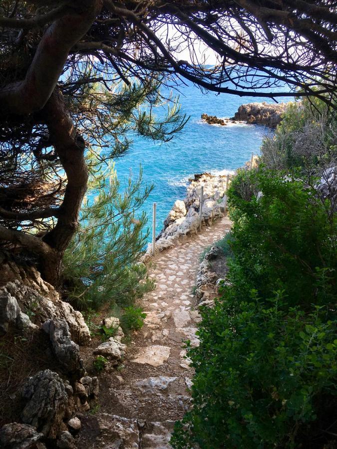 Artistic Antibes Apartment المظهر الخارجي الصورة