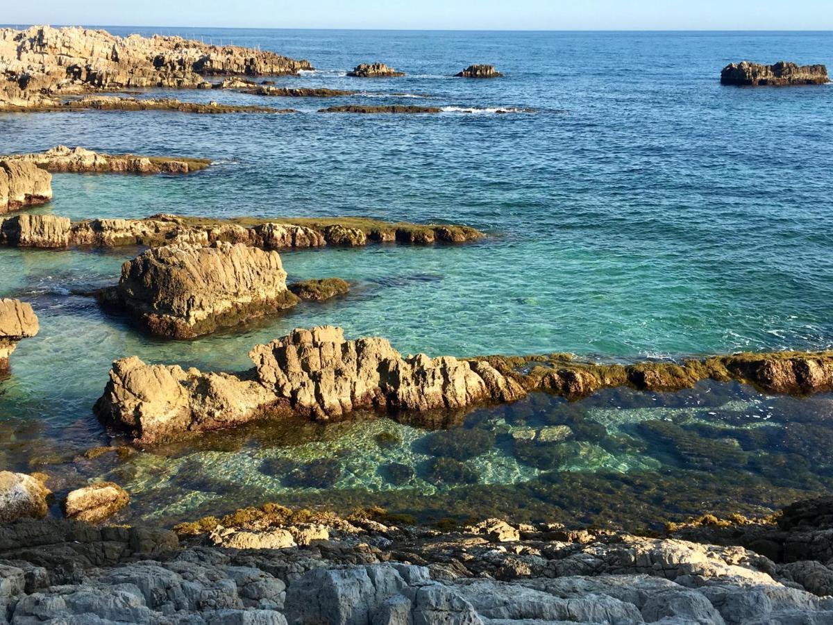 Artistic Antibes Apartment المظهر الخارجي الصورة
